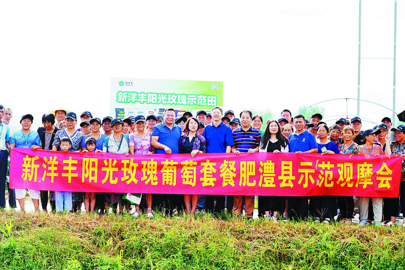 新洋丰阳光葡萄套餐肥澧县示范观摩_meitu_2.jpg