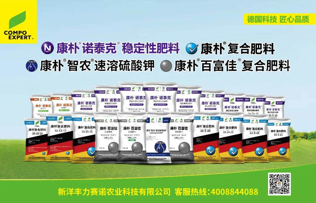 微信图片_20210216103942.jpg 微信图片_20210216103942.jpg