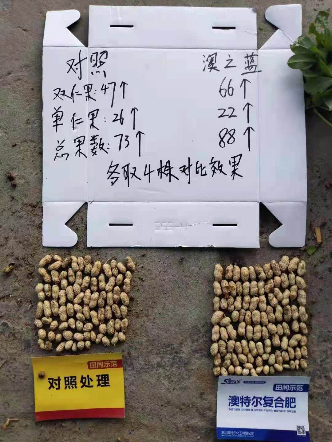 微信图片_202103111344413.jpg 微信图片_202103111344413.jpg