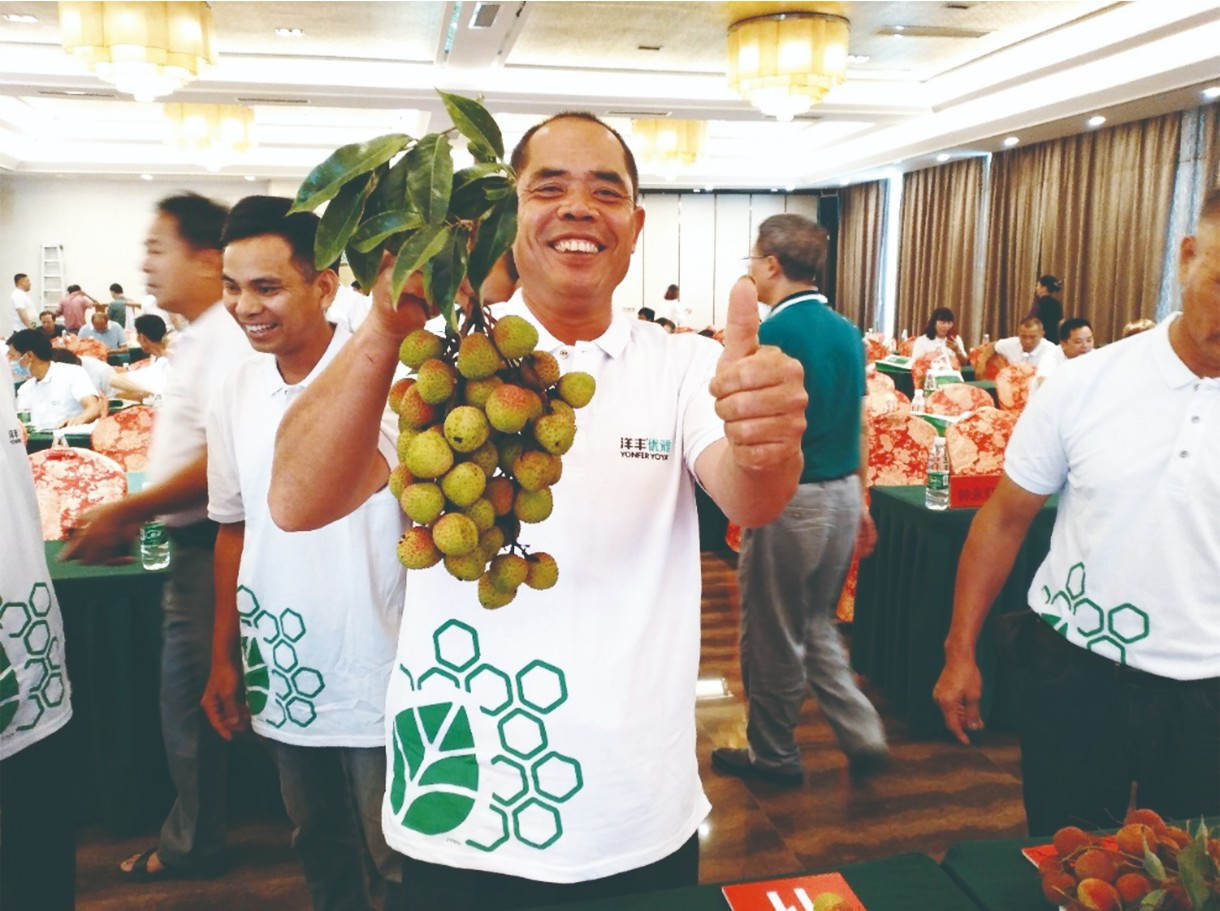 种植户在会议现场点赞洋丰肥料种出来的荔枝。.jpg 种植户在会议现场点赞洋丰肥料种出来的荔枝。.jpg