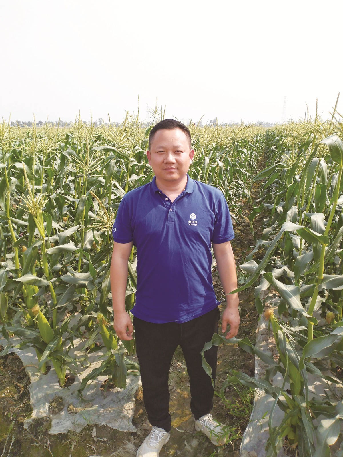 吴明飞在跟踪玉米长势_副本.jpg 吴明飞在跟踪玉米长势_副本.jpg