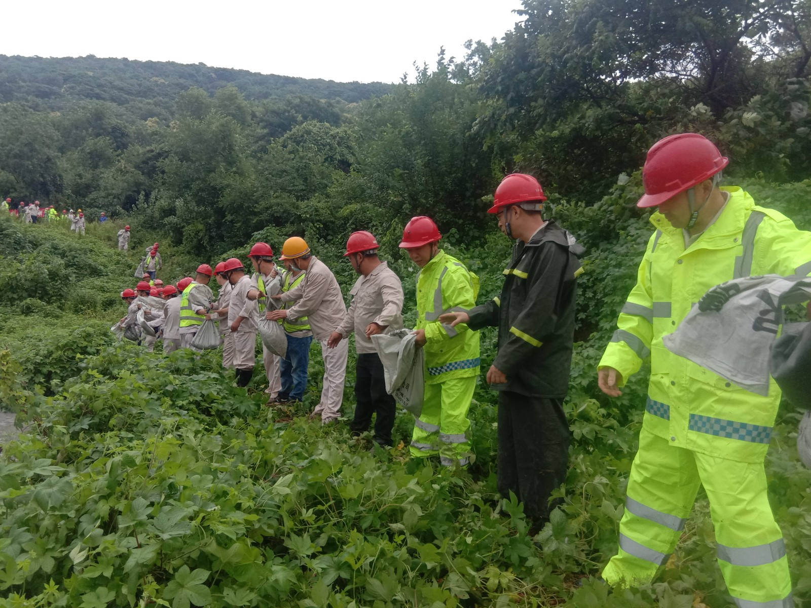 抢险小分队站成一条线快速传运泥土抢险_副本.jpg