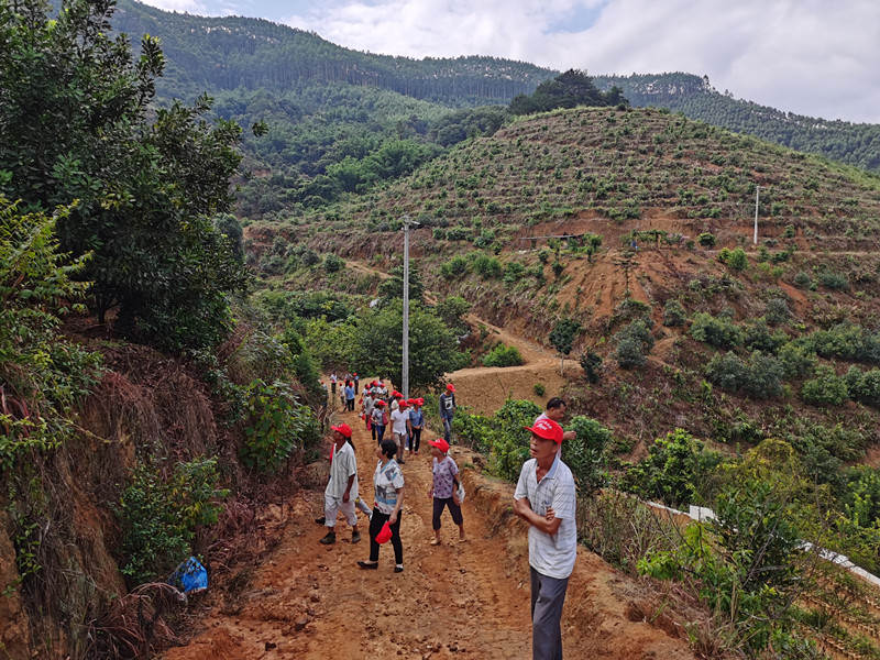 种植户正徒步前往示范园_副本.jpg