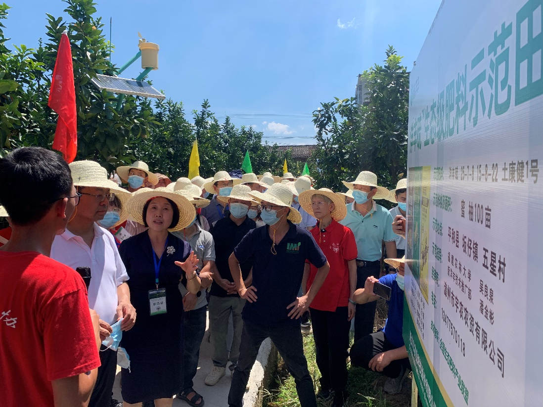 新洋丰副总裁包雪梅博士（左三）在新洋丰示范田向张福锁院士讲解新洋丰解决方案.jpg