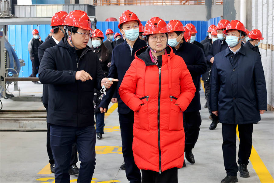 王玲（前排中）带队视察新洋丰磷石膏绿色建材产业园.jpg