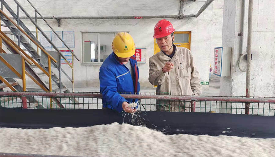 张韬(右)指导造粒工操作注意要点.jpg 张韬(右)指导造粒工操作注意要点.jpg