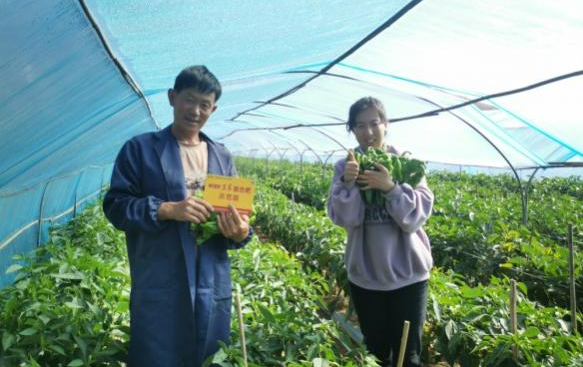 谢大哥与农艺师在辣椒棚合影.jpg