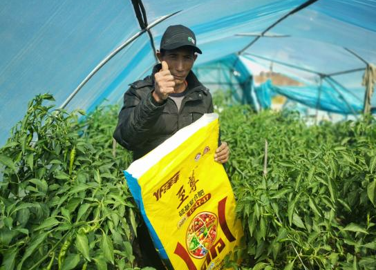 杨大哥为洋丰至尊点赞 .jpg