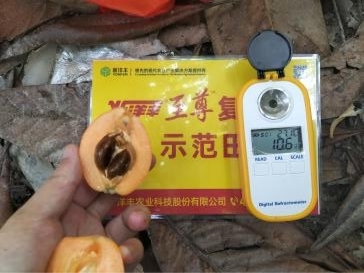 示范田平均糖度.jpg 示范田平均糖度.jpg