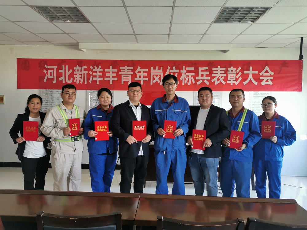 河北新洋丰表彰青年岗位标兵.jpg