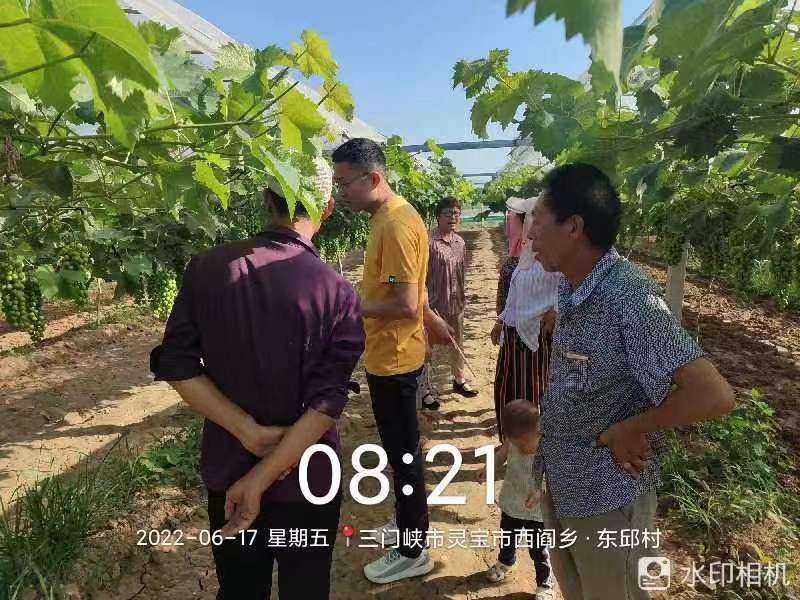 图片1.jpg 图片1.jpg