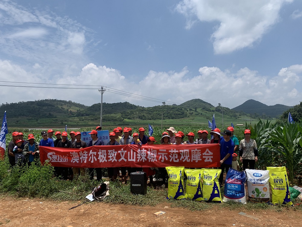 微信图片_202207111019067.jpg 微信图片_202207111019067.jpg