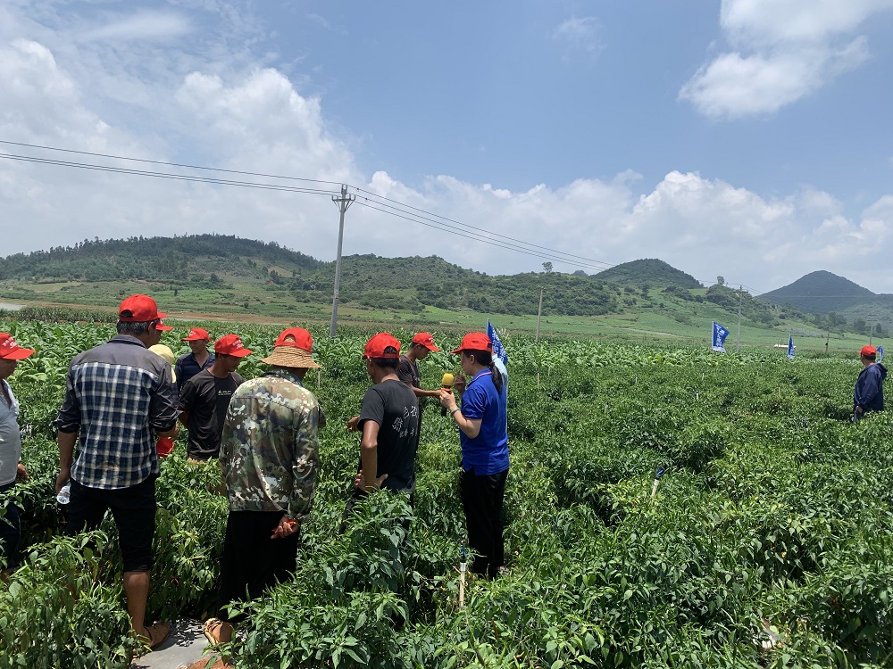 微信图片_202207111019062.jpg 微信图片_202207111019062.jpg