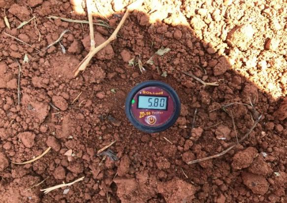 图片1.jpg 图片1.jpg