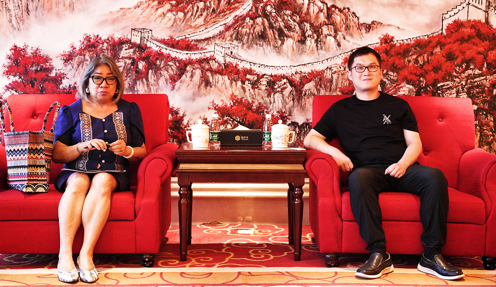 Ana GM. B. Abejuela参赞(左)和新洋丰执行总裁杨磊(右)正在会谈中.jpg Ana GM. B. Abejuela参赞(左)和新洋丰执行总裁杨磊(右)正在会谈中.jpg