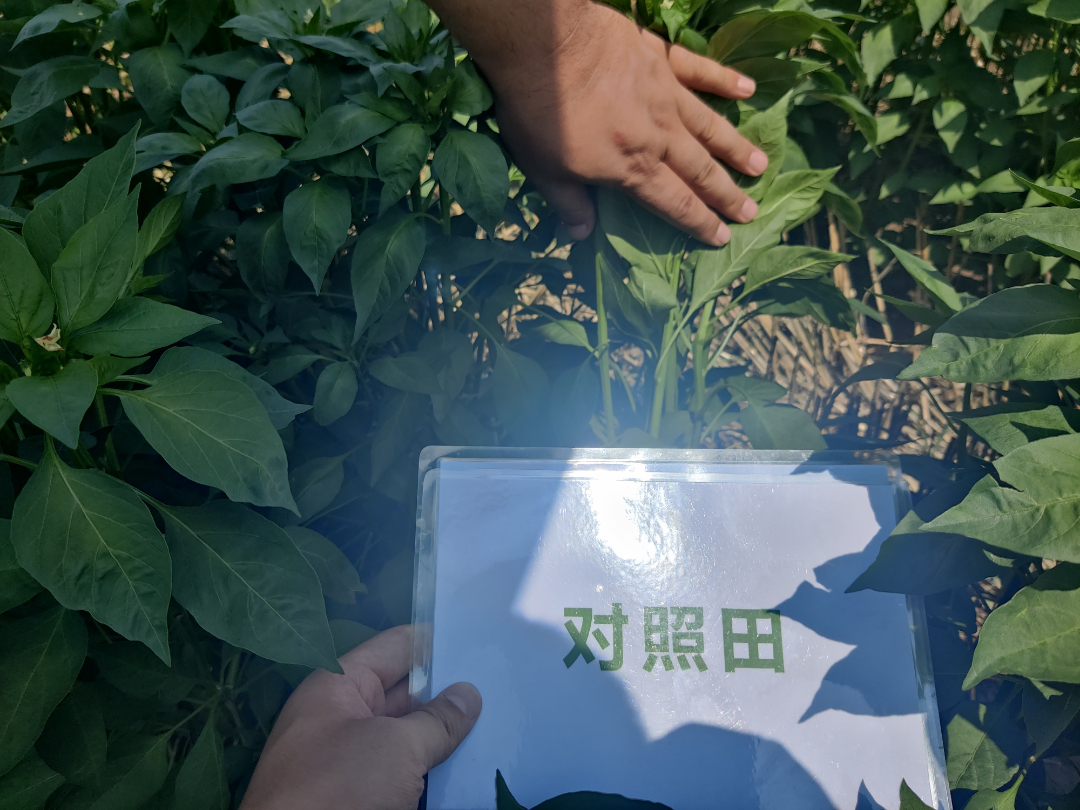 2组 (1).jpg 2组 (1).jpg