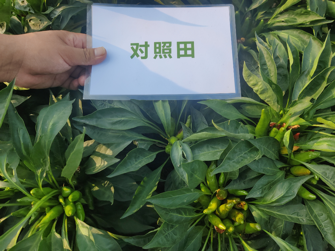 3组 (3).jpg 3组 (3).jpg