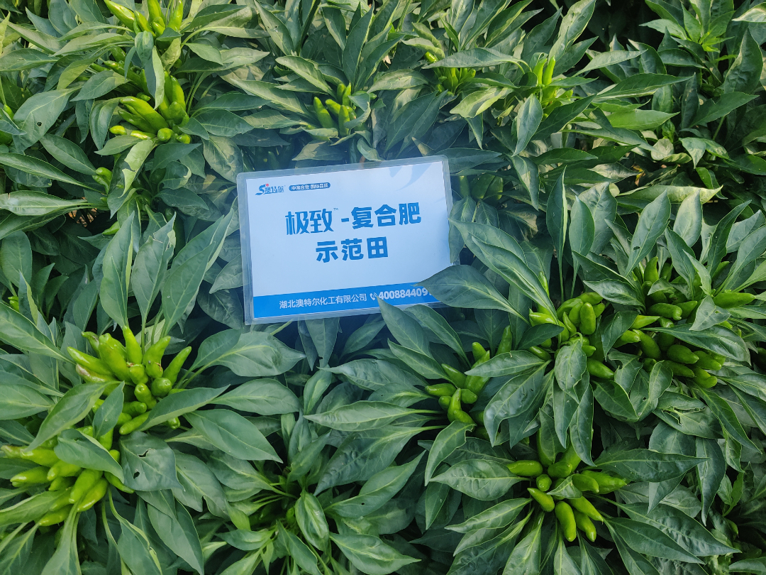 3组 (4).jpg 3组 (4).jpg